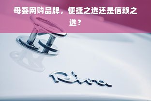 母婴网购品牌，便捷之选还是信赖之选？
