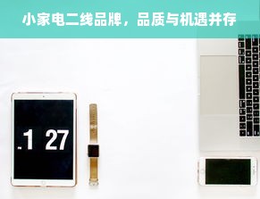小家电二线品牌，品质与机遇并存