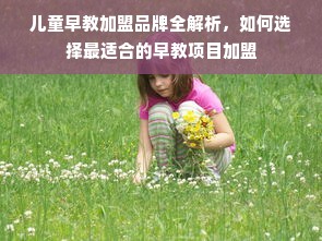 儿童早教加盟品牌全解析，如何选择最适合的早教项目加盟