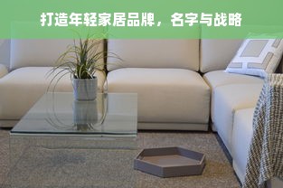 打造年轻家居品牌，名字与战略