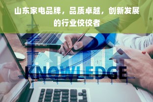 山东家电品牌，品质卓越，创新发展的行业佼佼者