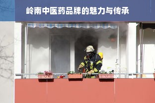 岭南中医药品牌的魅力与传承