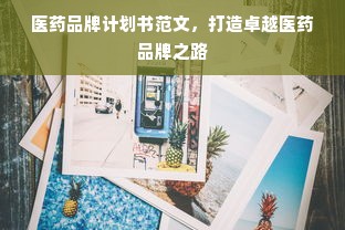 医药品牌计划书范文，打造卓越医药品牌之路