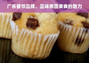 广东餐饮品牌，品味南国美食的魅力