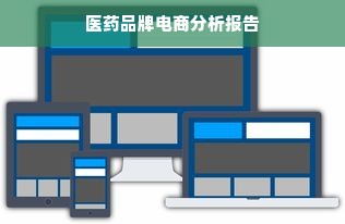 医药品牌电商分析报告