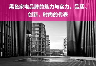 黑色家电品牌的魅力与实力，品质、创新、时尚的代表