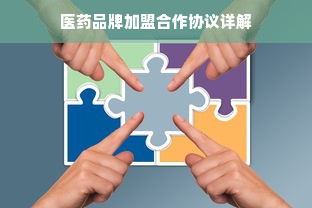 医药品牌加盟合作协议详解