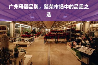 广州母婴品牌，繁荣市场中的品质之选