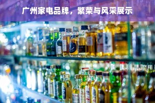 广州家电品牌，繁荣与风采展示