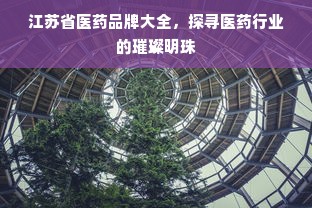 江苏省医药品牌大全，探寻医药行业的璀璨明珠