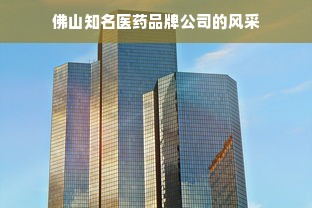 佛山知名医药品牌公司的风采