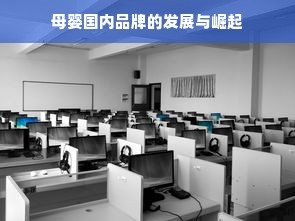 母婴国内品牌的发展与崛起