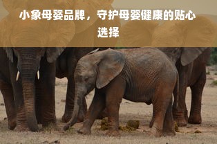 小象母婴品牌，守护母婴健康的贴心选择