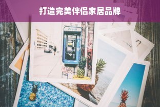 打造完美伴侣家居品牌