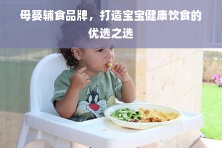 母婴辅食品牌，打造宝宝健康饮食的优选之选
