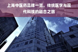 上海中医药品牌一览，传统医学与现代科技的融合之旅