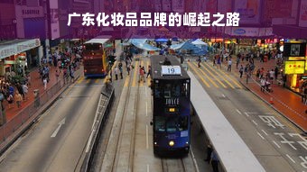 广东化妆品品牌的崛起之路