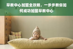 新加坡中国餐饮品牌的崛起与影响，一场味蕾的盛宴
