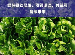 绿色餐饮品牌，引领潮流，共筑可持续未来