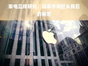 家电品牌研究，探索市场巨头背后的秘密