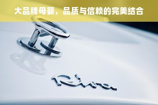 大品牌母婴，品质与信赖的完美结合