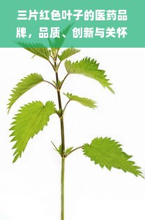 三片红色叶子的医药品牌，品质、创新与关怀的象征