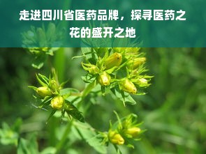 走进四川省医药品牌，探寻医药之花的盛开之地