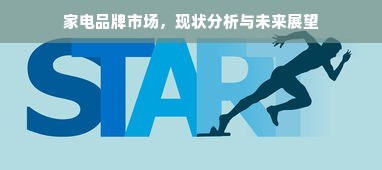 家电品牌市场，现状分析与未来展望