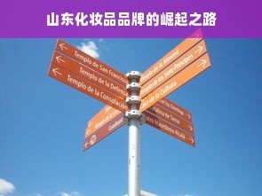 山东化妆品品牌的崛起之路