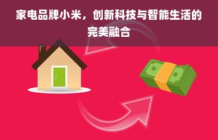 家电品牌小米，创新科技与智能生活的完美融合