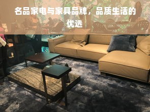 名品家电与家具品牌，品质生活的优选