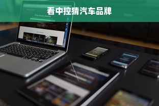 看中控猜汽车品牌