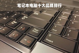 西安丰禾路早教加盟，开启智慧之门，共创美好未来