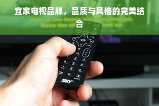 宜家电视品牌，品质与风格的完美结合