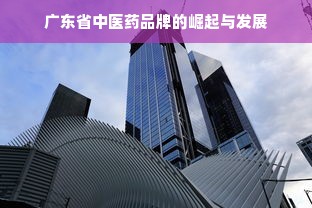 揭秘京东白条额度提升秘籍，618大促如何巧妙提升白条额度