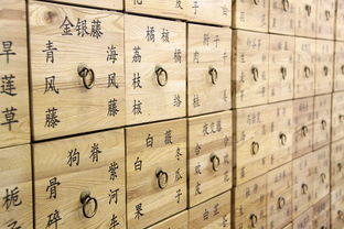 国产户外品牌排行榜