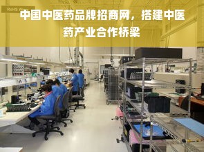 中国中医药品牌招商网，搭建中医药产业合作桥梁