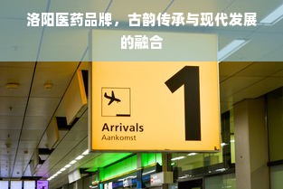 洛阳医药品牌，古韵传承与现代发展的融合