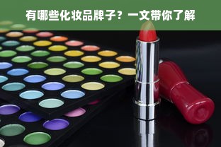 澳洲油漆清洁剂品牌大盘点，清洁效果与使用体验分享