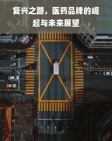 复兴之路，医药品牌的崛起与未来展望