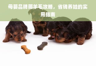 揭秘化蝶，一家独具特色的汉服品牌背后的故事