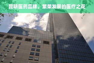 昆明医药品牌，繁荣发展的医疗之花