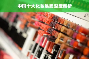 中国十大化妆品牌深度解析