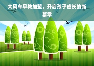 大风车早教加盟，开启孩子成长的新篇章