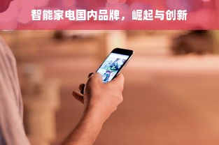 智能家电国内品牌，崛起与创新