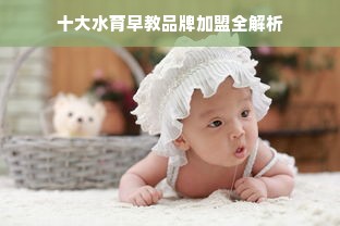 十大水育早教品牌加盟全解析
