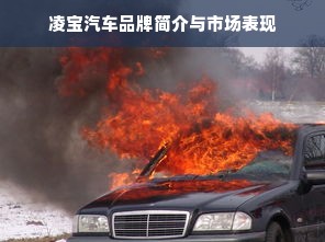 凌宝汽车品牌简介与市场表现