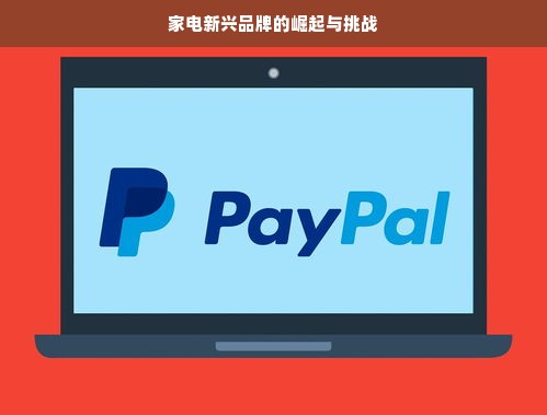 家电新兴品牌的崛起与挑战