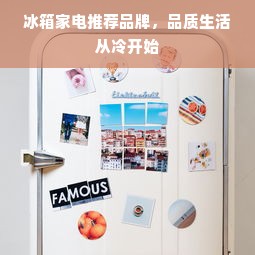 冰箱家电推荐品牌，品质生活从冷开始