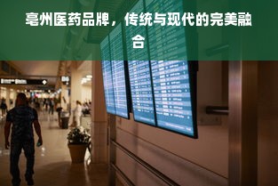 亳州医药品牌，传统与现代的完美融合